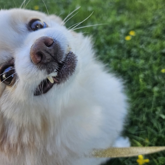 Meet your Posher, Katie - Picture 3 of 16